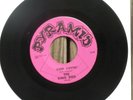 The King Bees - Keep Lovin' / I Want My Baby 45 Rare Virginia garage