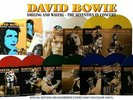 DAVID BOWIE THE SEVENTIES IN CONCERT IMPORT 11 LP COLORED VINYL BOX SET NEW