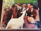 The Beach Boys – Pet Sounds Vinyl LP (VG+ Condition)