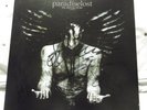 Paradise Lost - In Requiem 7 inch Box Set Used in very good condition (signed)