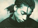 TERENCE TRENT D'ARBY INTRODUCING THE HARDLINE VINYL LP (27THSEP) NEW