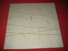 Louise Landes Levi LP Poetry Reading 1 of 25 copies ref: Ira Cohen Angus MacLise