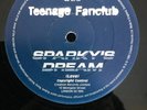 Teenage Fanclub - Sparky's Dream 12'' Vinyl Single Sided PROMO Creation EX