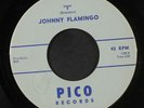 JOHNNY FLAMINGO & GROUP: I / Summertime 45 (faint pencil wol, great version )
