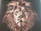 John Butler Trio April Uprising Limited Edition Vinyl #365/1000