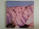 AUTECHRE AMBER FOIL WARP WARPLP25 ROB BROWN IDM AMBIENT GATEFOLD DOUBLE