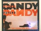 The Jesus And Mary Chain  - Psychocandy -  Album Record