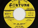 Rockabilly 45 - Pete De Bree & the Wanderers - Hey, Mr. Presley - Fortune - mp3
