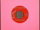 Danny & the Sessions Mojo b/w Grand Times & Gay Nights 45 rpm Cobra CO-1114