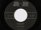 Surf Inst. 45 - Ramrods - Night Ride - R and H - mp3
