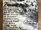 ABNER JAY BACKBONE OF AMERICA IS A MULE AND COTTON LP BRANDIE Folk Blues Rare