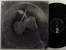 SILVER APPLES Self Titled KAPP KS 3562 LP SHRINK *