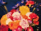 TEARDROP EXPLODES, The - Wilder (reissue) - Vinyl (heavyweight vinyl LP)