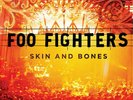FOO FIGHTERS - SKIN AND BONES - 2LP REISSUE VINYL NEW SEALED 2015