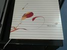 FIELD MUSIC - 'FIELD MUSIC  (MEASURE)' Double Vinyl LP NM
