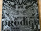 The Prodigy - Charly, Your Love, 12