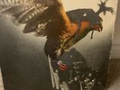 Budgie In For The Kill Vinyl / Good Condition