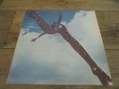 Free - Same UK LP ISLAND EX PINK RIM PALM TREE LABELS