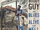 Buddy Guy ?- The Blues Is Alive and Well 2 x LP - Vinyl Record - Blues Album