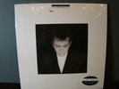 Peter Gabriel Shaking The Tree 2LP