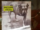Alice In Chains - Alice In Chains [1995] Vinyl Record SEALED MINT