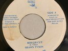 SHAWN TYSON - ROUGH CUT - TOP SECRET ( DIGI 7 )