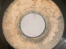 WRIGGLERS - IF I DID LOOK - BLANK ( RARE ROCKSTEADY 7 )