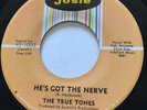 NORTHERN SOUL The True Tones HE'S GOT THE NERVE Josie 45 rare EX