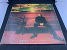 Koji Tamaki Wine Red No Kokoro 45rpm Vinyl ???? ???????? LP Anzen Chitai covers