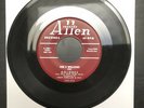 5 WILLOWS Dolores / All Night Long 45 ALLEN Rare Original Doo Wop
