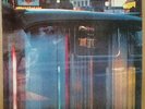 BATS LP Compiletely Flying Nun New Zealand Indie Rock