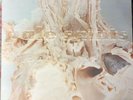 Pale Saints In Ribbons Lp Original Press Shoe Gaze 4AD Lush Rare Stone Roses
