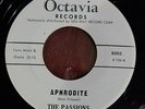THE PASSIONS - 7