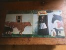 VASHTI BUNYAN 