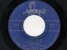 DOOWOP-OPALS-OH BUT SHE DID/MY HEART'S DESIRE-APOLLO 462