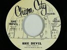 Funk Disco 45 - She Devil - She Devil - Charm City - VG++ mp3