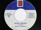 Modern Soul Disco 45 - Aged In Harmony - You're A Melody - Mor-Tones - mp3