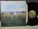 Screaming Abdabs LP Dark Side of the Moo - Pink Floyd