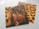 DEAD OR ALIVE - Sophisticated Boom Boom UK 2016 Demon clear vinyl LP NEW/UNPLAYE