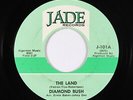 Deep Soul 45 - Diamond Bush - The Land - Jade - VG+ mp3