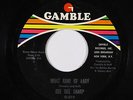 Northern Soul 45 - Dee Dee Sharp - What Kind Of Lady - Gamble - mp3