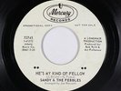 Northern Soul 45 - Sandy & The Pebbles - He's My Kind Of Fellow - Mercury - mp3