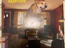 Weezer Raditude Vinyl