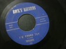TWYLIGHTS DARLING LET'S FALL IN LOVE 45 RECORD I'M GONNA TRY