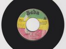 SCBA/ SUFFERING TIME - RAS ABRAHI (80 REGGAE ROOTS 7