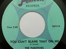 THE FUGITIVES You Can't Blame That On Me FENTON Michigan Garage Killer BFTG LSTN