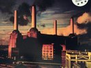 PINK FLOYD 