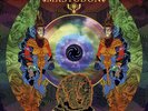 Crack The Skye [VINYL]