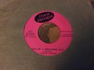 REGGAE 45  FORM RECORDS EBONY SISTERS Son of a preacher Man/VERSION VILLAGE BNCH