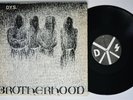 D.Y.S. Brotherhood XCLAIM  LP NM 1st Pressing W/Insert Minor Threat Misfits kbd